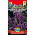 Душевка Альпийская Плазма