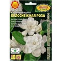 Гардения Белоснежная роза жасминовидн(Аэлита)многолетн, до 1м