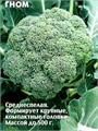 Капуста броколли Гном 0,5гр Седек