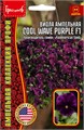 Виола Cool Wave Purple F1 ампельная 3 шт Григорьев