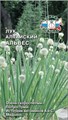 Лук Альвес алтайский 0,3г Седек