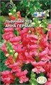 Львиный зев Анна Герман (высокий, розовый) Седек