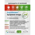 Агробиовит 20гр. Здоровая ягода (от болезней)