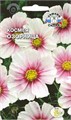 Космея Озорница 0,5гр Седек