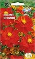 Космея Огниво (сульфуриус, ярко-красные) Седек