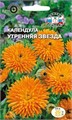 Календула Утренняя Звезда (оранжевая) Седек