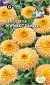 Календула Эприкот Бьюти (абрикосовая) Седек