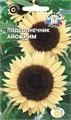 Подсолнечник Айс крим (увечный, кремовый) Седек