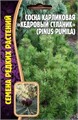 Сосна Кедровый Стланик карликовая 5шт Ред.сем
