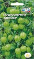 Кардиоспермум Жонглер 0,5гр Седек
