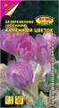 Безвременник (осенник) Каменный цветок(Аэлита)многолетн,20см