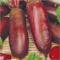 Свекла Алексис (Овощной рай) Е/П