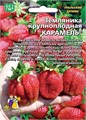 Земляника Карамель крупноплодная 10шт (УД)