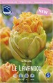 Тюльпан Ле Лаванду 11/12 5 шт Лефебер