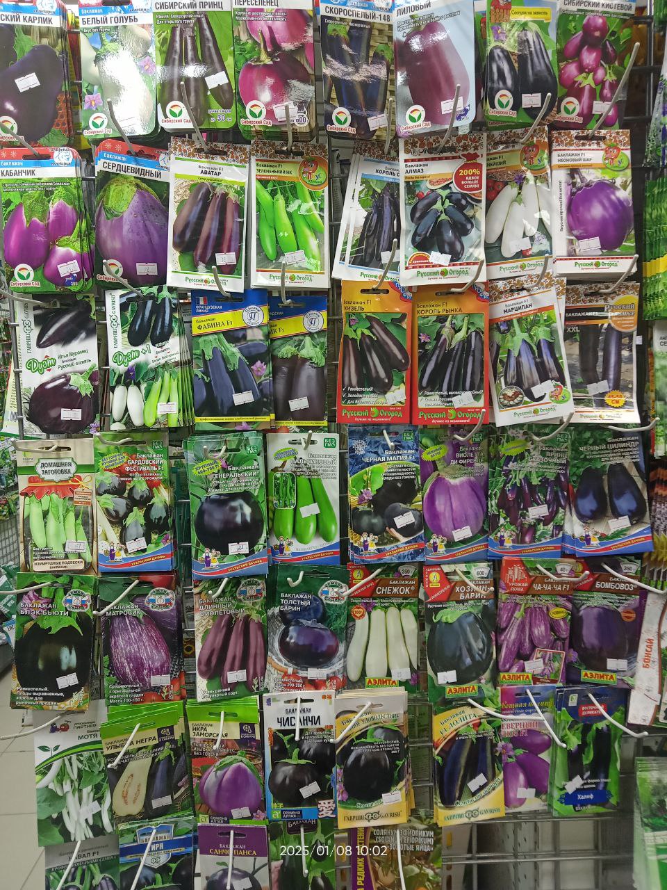 Семена баклажанов